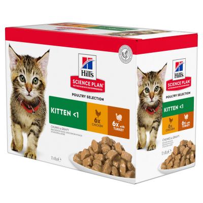 Hill's Feline Kitten - volaille (12 x 85 g)