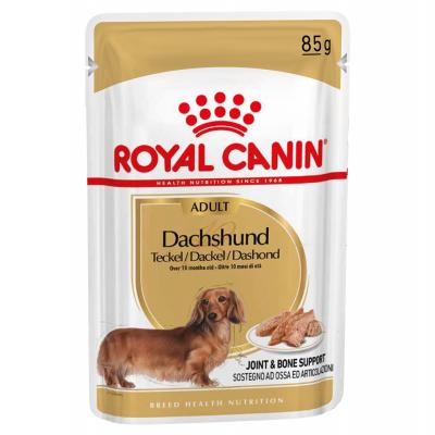 Royal Canin Adult Teckel p&acirc;t&eacute;e pour chien 2 bo&icirc;tes (24 x 85g)