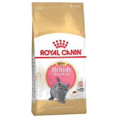 Royal Canin Kitten British Shorthair pour chaton 2 x 10 kg