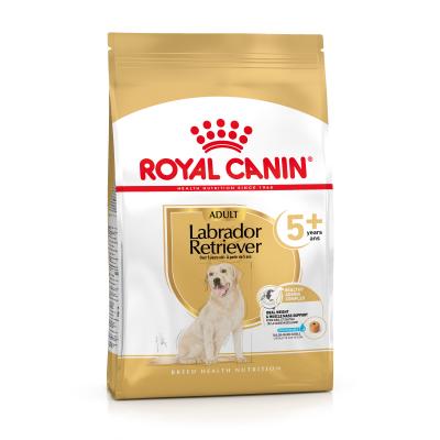 12kg Royal Canin Labrador Retriever Adult 5+ - Croquettes pour chien