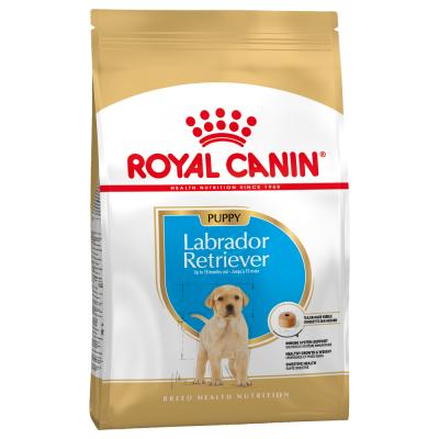 Royal Canin Race Labrador Retriever Junior