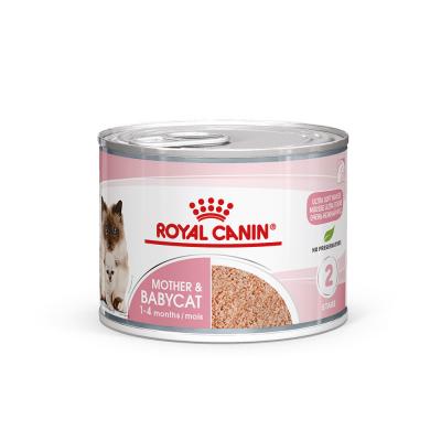 Royal Canin Mother & Babycat Mousse pour chatons 2 lots (24 x 195 g)