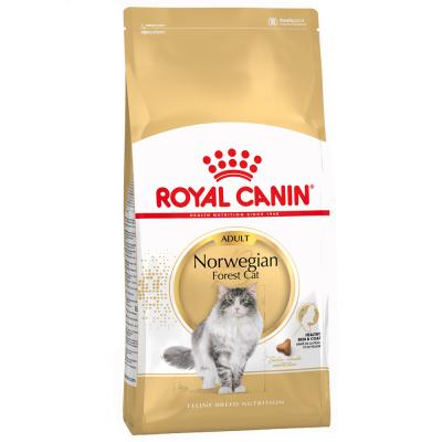 2kg Norv&eacute;gien Royal Canin Croquettes pour chat