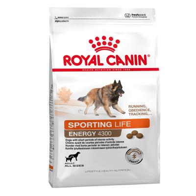 Nourriture Sporting Life Trail 4300 15 Kg Royal Canin 