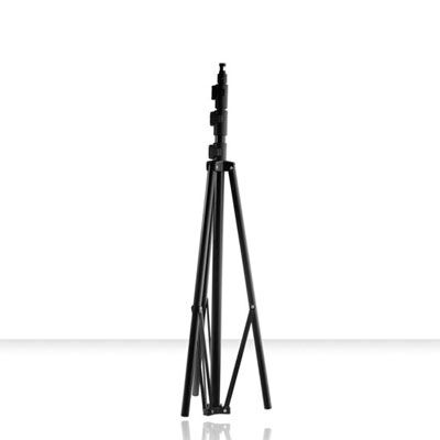 Pied noir classique (235 cm / 5 kg) - ELI30101