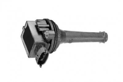 Bobine d'allumage BorgWarner (BERU) ZSE019 (X1)