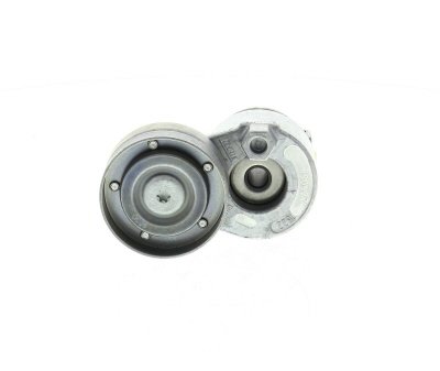 SKF Galet tendeur (courroie d'accessoire) VKM 36069 OPEL VIVARO