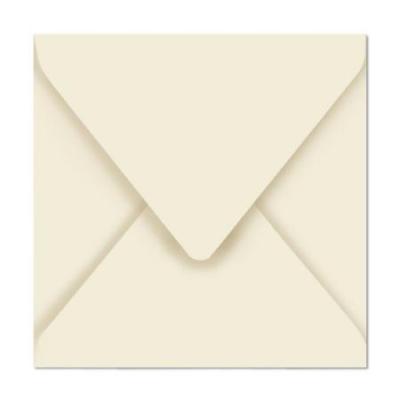 Paquet de 20 enveloppes Pollen 165x165mm Gris Perle 120g