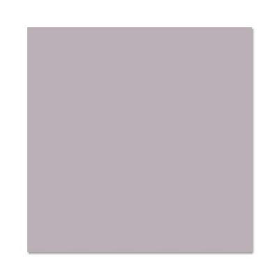 Pollen Carte Simple 210g 160x160 gris koala 210g pqt 25