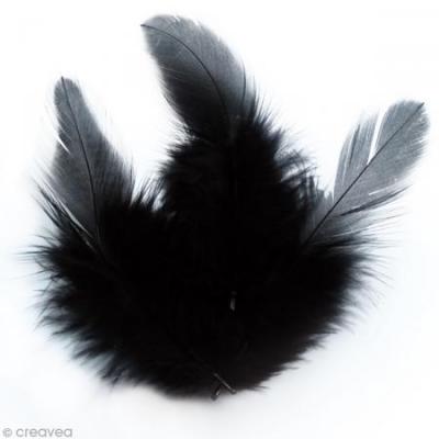 Plumes Coq Noir - 10 cm - 3 gr - Graine Cr&eacute;ative - couleur variant