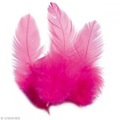 Plumes Coq Rose vif - 10 cm - 3 gr - Graine Cr&eacute;ative - couleur variant