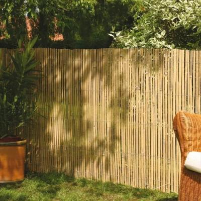 Canisse en bambou de couleur jaune gris&eacute;, H.1 x L.3 m