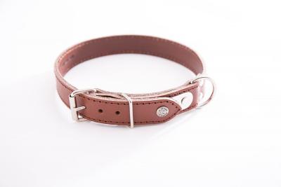 Coll surp plaq 31-62cm mar 