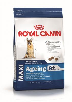 Croquette chien royalcanin maxi ageing 8+ 3kg ROYAL CANIN 24540300