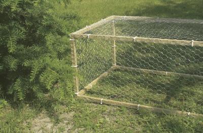INTERMAS - Grillage m&eacute;tal galvanis&eacute; triple torsion 1,3cm - 1 x 10m