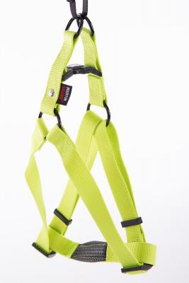 Harnais baudr 20-50-70 vert 