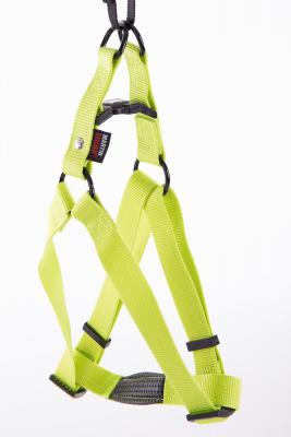 Harnais baudr 25-70-90 vert 