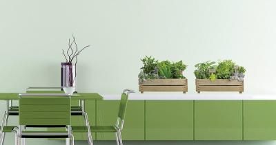 Plage 152728 Sticker Mural - Le Petit Potager, 1 Planche, 48 x 68 cm