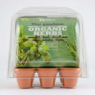 Serre d'int&eacute;rieur avec 6 plantes aromatiques bio &agrave; semer