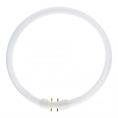 Osram Lumilux T5 Circulaire FC 22W - 830 Blanc Chaud | 23cm