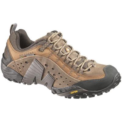 Merrell Intercept - Chaussures randonn&eacute;e homme Moth Brown 49