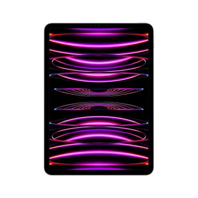 Apple iPad Pro 11"" Wi-Fi 2022 256Go gris sid&eacute;ral - neuf