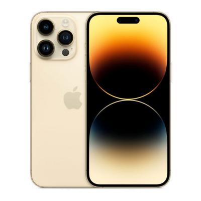 Smartphone Apple iPhone 14 Pro Max Dor&eacute; 6,7