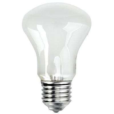 ELINCHROM lampe pilote 100W 196V pour torche D-lite