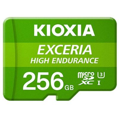 Exceria lmhe1g256gg2 256 go sd 100 mo/s vert