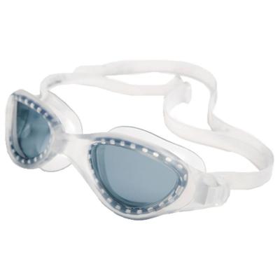 Finis  Energy - Lunettes de natation - Clair/Smoke - 3.45.065.221