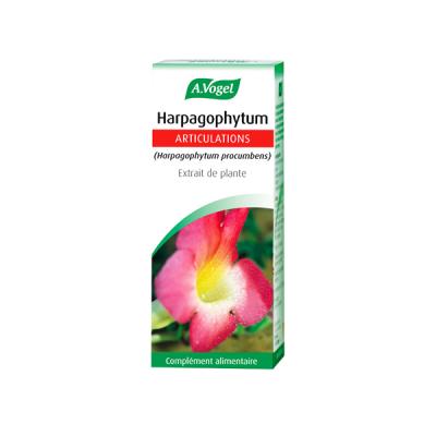 Harpagophytum extrait de plante fra&icirc;che - 50 ml