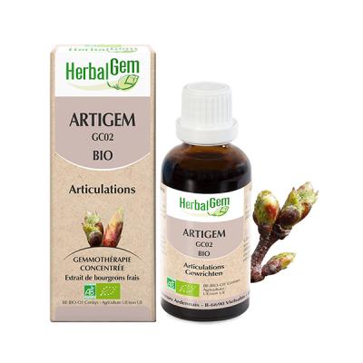 Artigem Bio Flacon compte gouttes Herbalgem Gemmobase