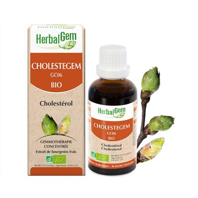 Cholestegem Bio Flacon compte gouttes Herbalgem Gemmobase