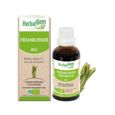 Herbalgem Mac&eacute;rat Concentr&eacute; de Framboisier Bio 30ml