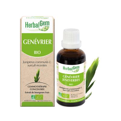 HerbalGem Gen&eacute;vrier Bio Mac&eacute;rat-M&egrave;re de Gemmoth&eacute;rapie Concentr&eacute;e 30 ml