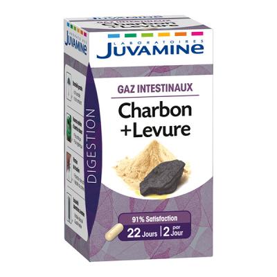 JUVAMINE - Digestion - Charbon Levure - Gaz Intestinaux - 45 G&eacute;lules