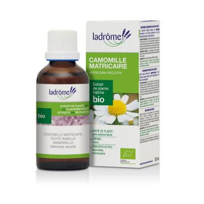 Camomille Matricaire Extrait de plante fra&icirc;che  Bio - 50 ml