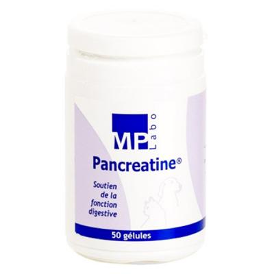 Pancreatine Compl&eacute;ment digestion pour chiens et chats
