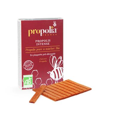 Propolis pure &agrave; m&acirc;cher bio en plaquette