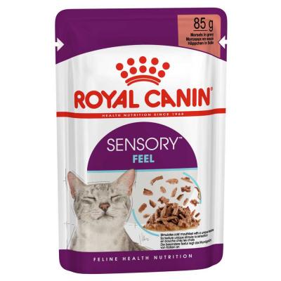 Patee chat royal canin sensory feel sauce 12x85g ROYAL CANIN 15190102