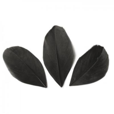 Plumes Coup&eacute;es Noir - 6 cm - 3 gr - Graine Cr&eacute;ative - couleur variant