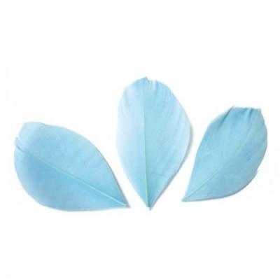 Plumes Coup&eacute;es Bleu clair - 6 cm - 3 gr - Graine Cr&eacute;ative - couleur variant
