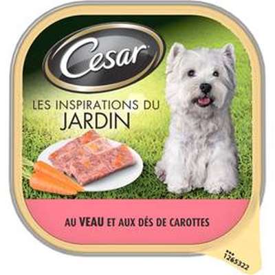 Cesar Barquette veau en terrine pour chien - La boite de 300g