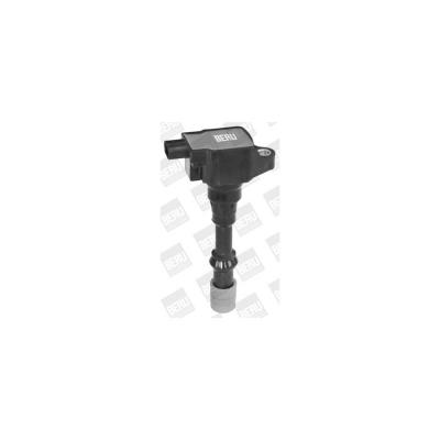 Bobine d'allumage BorgWarner (BERU) ZSE175 (X1)