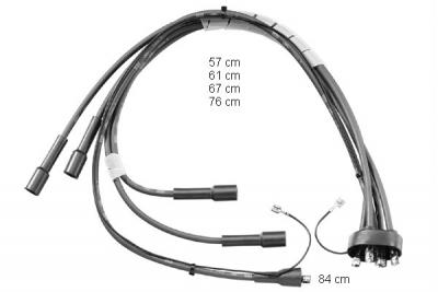 Cable d'allumage BorgWarner (BERU) ZEF802 (X1)