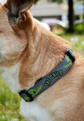 Collier pour chien The Mandalorian &ndash; Licence officielle Disney