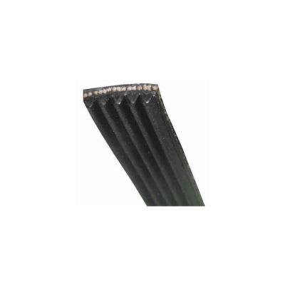 Courroie 1175 J5 Pour Lave Linge Fagor - 96x2024