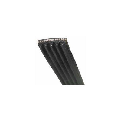 Courroie 5PJE1216 Lave-linge (11003842 BOSCH SIEMENS CONSTRUCTA NEFF)
