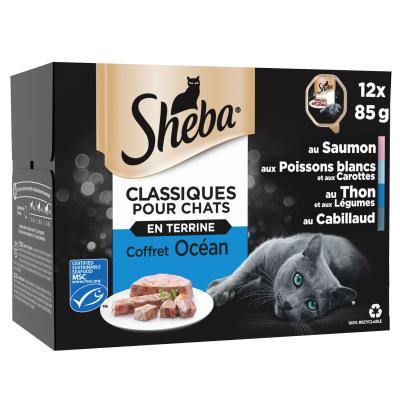 P&acirc;t&eacute;e Pour Chat Terrines Oc&eacute;an Sheba - Les 12 Barquettes De 85 G