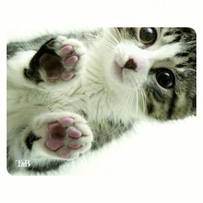 T'nB - Tapis de souris - Illustrated - kitty